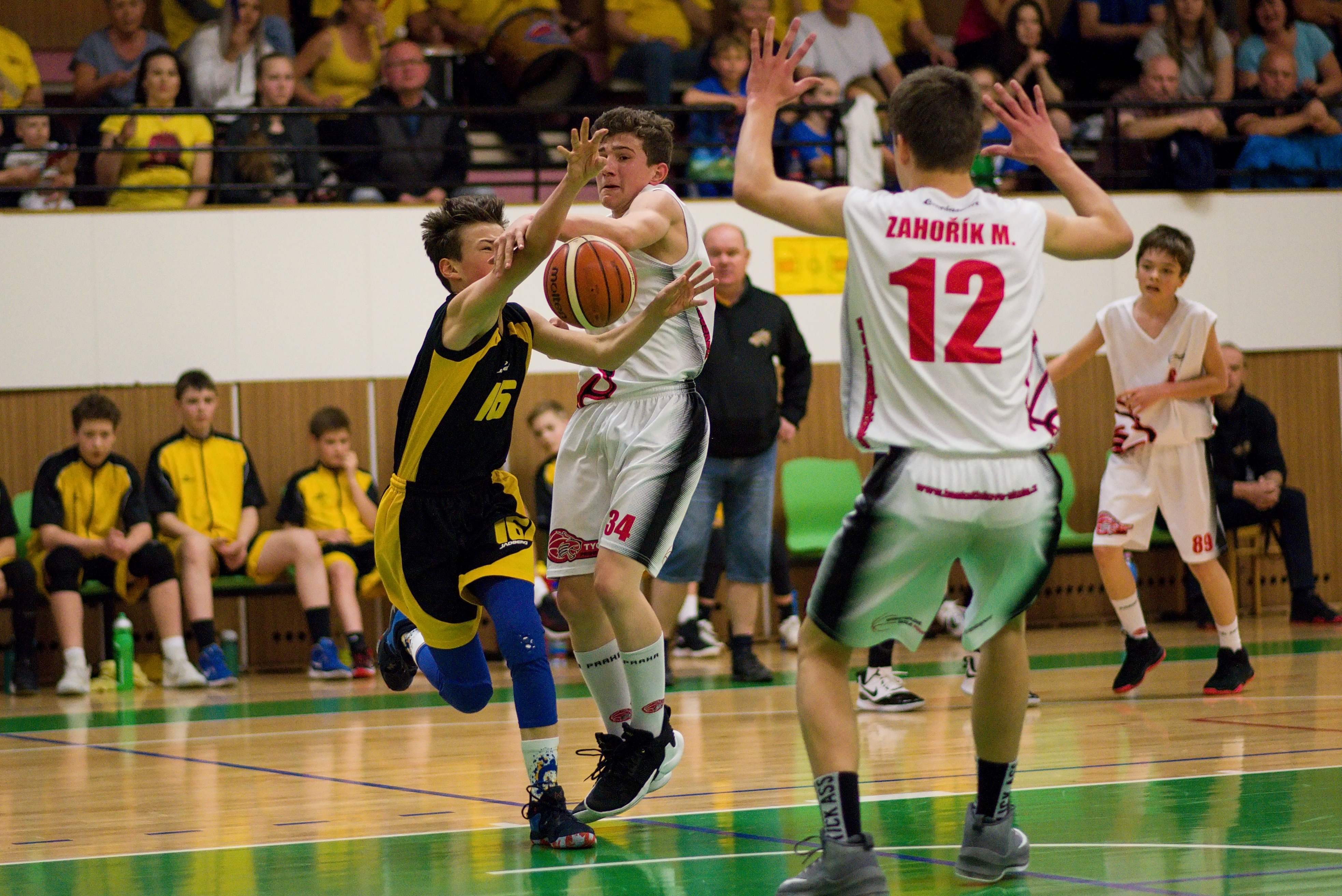  DSC6523 (1) (1)